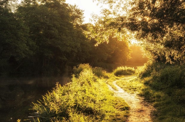 Mindfulness for the Restless Soul: Finding Peace Without Sitting Still