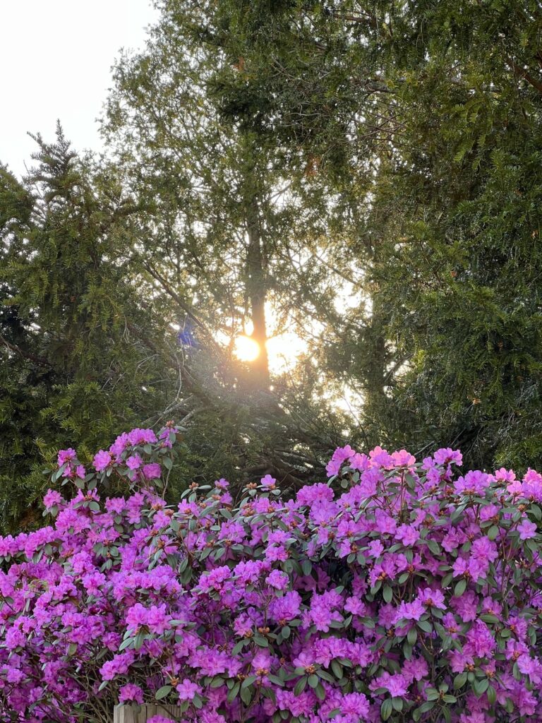 The Pause Between Breaths: Where Your Power Really Lives